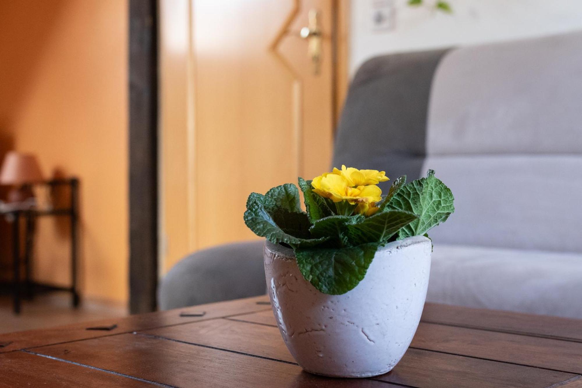 Prinke Apartment